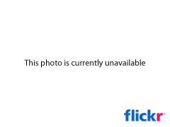 Photo courtesy of 1983-84 Razorback basketball media guide